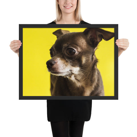 Tableau Chihuahua Fond Jaune