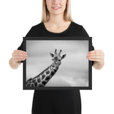 Tableau Animaux Girafe Noir et Blanc (Nuages)
