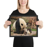 Tableau Panda qui joue au Zoo