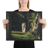 Tableau Tigre Blanc Yeux Bleus Azur