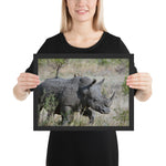 Tableau Animaux Rhinocéros se Baladant 