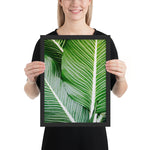 Tableau jungle tropical palm verte