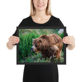Tableau Animaux Ours dans l'Herbe 