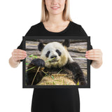 Tableau Panda Repos et son Bamboo