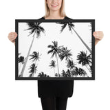 Tableau Palmier Noir et Blanc de Miami