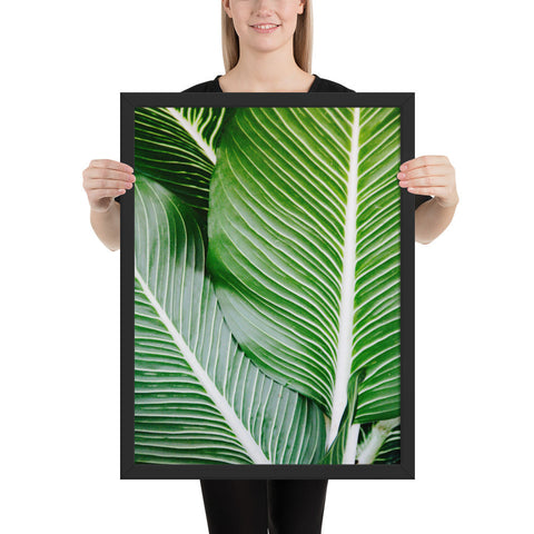 Tableau jungle tropical palm