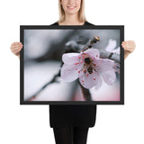 Tableau Fleur de Cerisier Blanc design