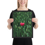 Tableau Fleur Seule Tulipe Moderne