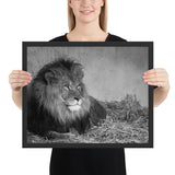 Tableau de Lion Royal en Noir et Blanc 