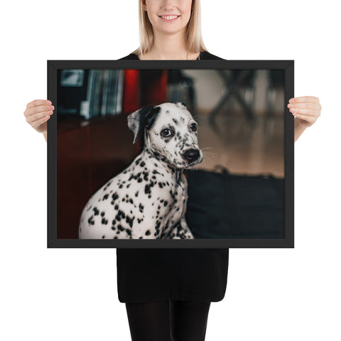 Tableau Dalmatien Chiot