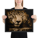 Tableau Jaguar Portrait Focus