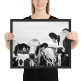 Tableau avec Vaches Noir et Blanc Photo de Famille