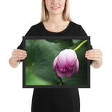 Tableau Fleur de Lotus Dormant Haute Qualité