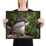 Tableau Loutre Animaux