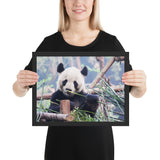 Tableau Panda dans la Jungle