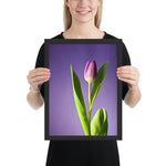 Tableau Fleur Violet Pastel Design