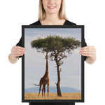 Tableau Avec Girafe mangeant dans l'arbre