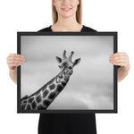 Tableau Girafe Noir et Blanc (Ciel sans Nuages)