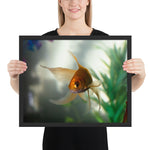 Tableau Poissons  Gros Yeux