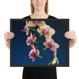 Tableau Fleur d'Orchidée Multicolore pour Cuisine