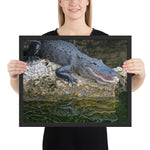 Tableau Crocodile Alligator Gueule Ouverte