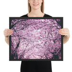 Tableau Cerisier Japonais Sakura Illuminé