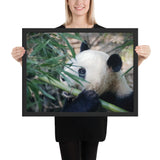 Tableau Panda Enfant et son Bambou