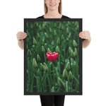 Tableau Fleur Tulipe Moderne et Solitaire