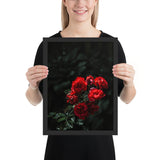 Tableau  Rose Rouge en Bouquet