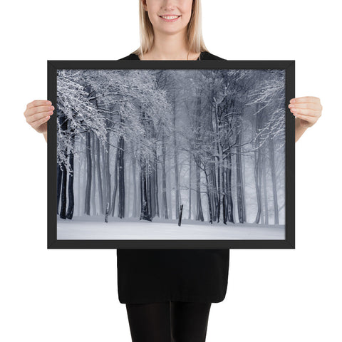 Tableau Paysage Hiver dans la Forêt