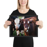 Tableau Moderne avec des Vaches Marrons