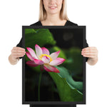Tableau Fleur de Lotus Zoomée