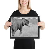 Tableau Afrique Noir et Blanc Elephant