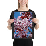 Tableau Fleur Cerisier Japonais pour Déco