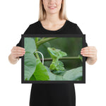 Tableau tropical le cameleon verdatre