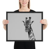 Tableau Girafe  Noir et Blanc (Savane)