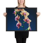 Tableau Fleur d'Orchidée Multicolore haute définition