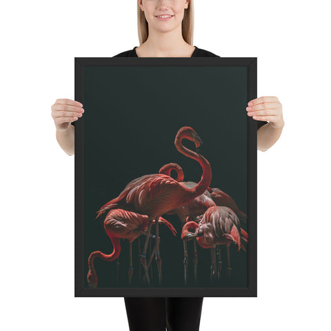 Tableau Flamant Rose Fond Noir