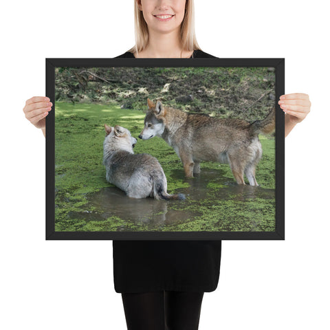 TableauLoup Pattes dans l'Eau