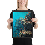 Tableau Paysage Fond de Mer Corallien