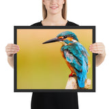 Tableau Oiseau Multicolore Moderne