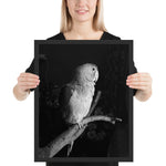 Tableau Animaux Oiseau Noir et Blanc Profil