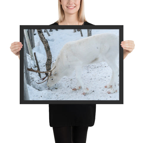 Tableau Rennes Blanc à la Montagne 