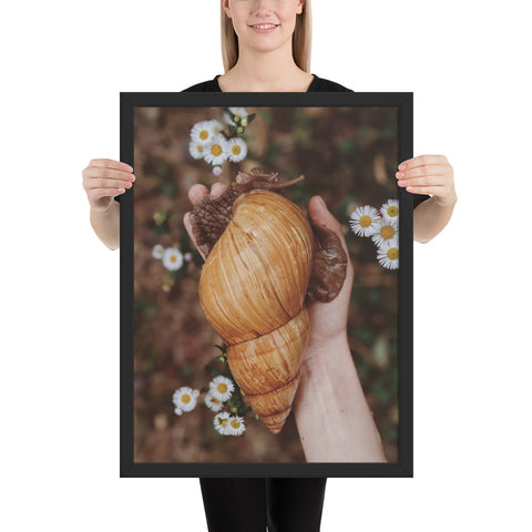 Tableau Escargot Paume de Main