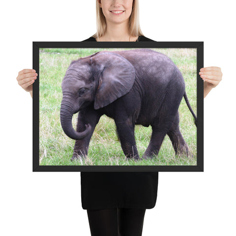 Tableau  Eléphant Marchant