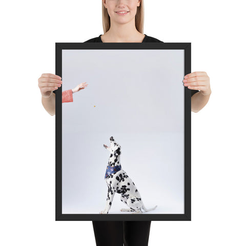 Tableau Dalmatien (Dressage)