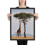 Tableau Girafe Avec Girafe Géante