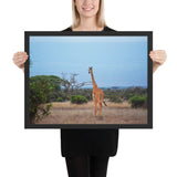 Tableau  Africain Girafe Marchant Dans la Savane