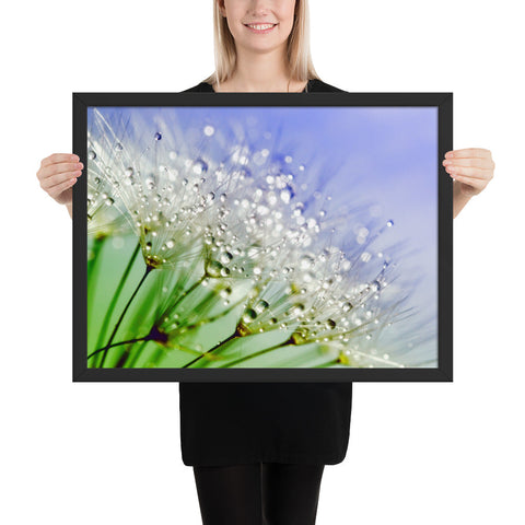 Tableau Fleur Pissenlit Blanc Grand Format