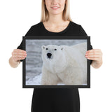 Tableau Animaux Ours Blanc